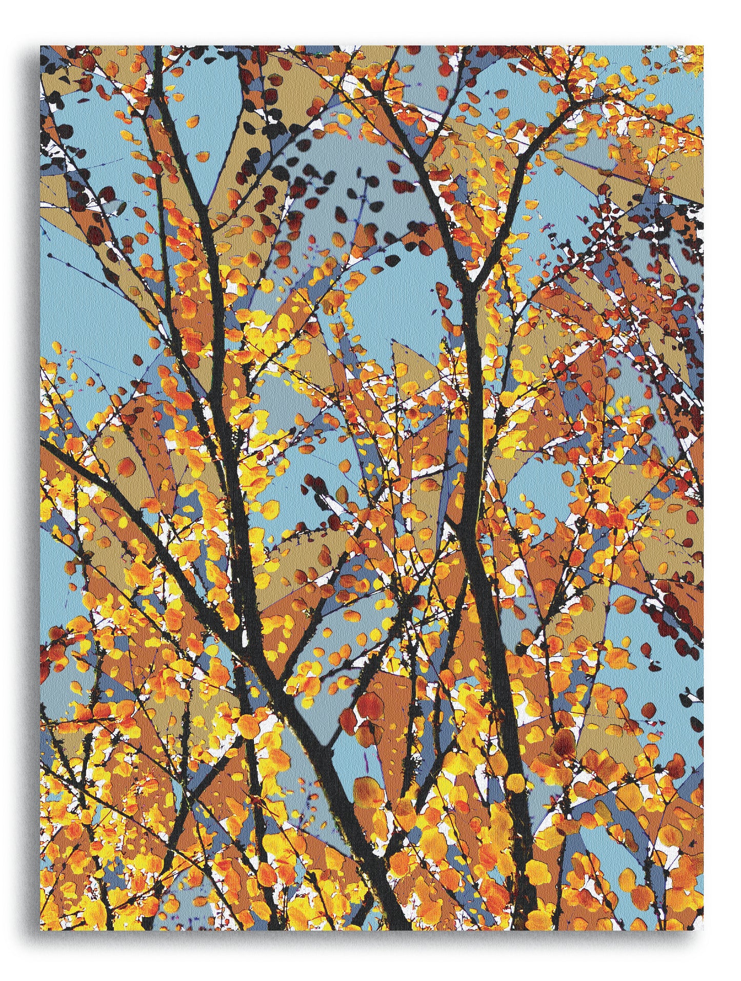 'Beech Glass' Print - by Taylor Clinton
