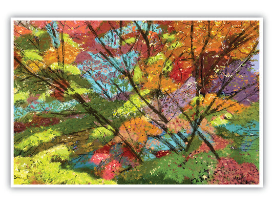 'Fall Spectrum' Print - by Taylor Clinton