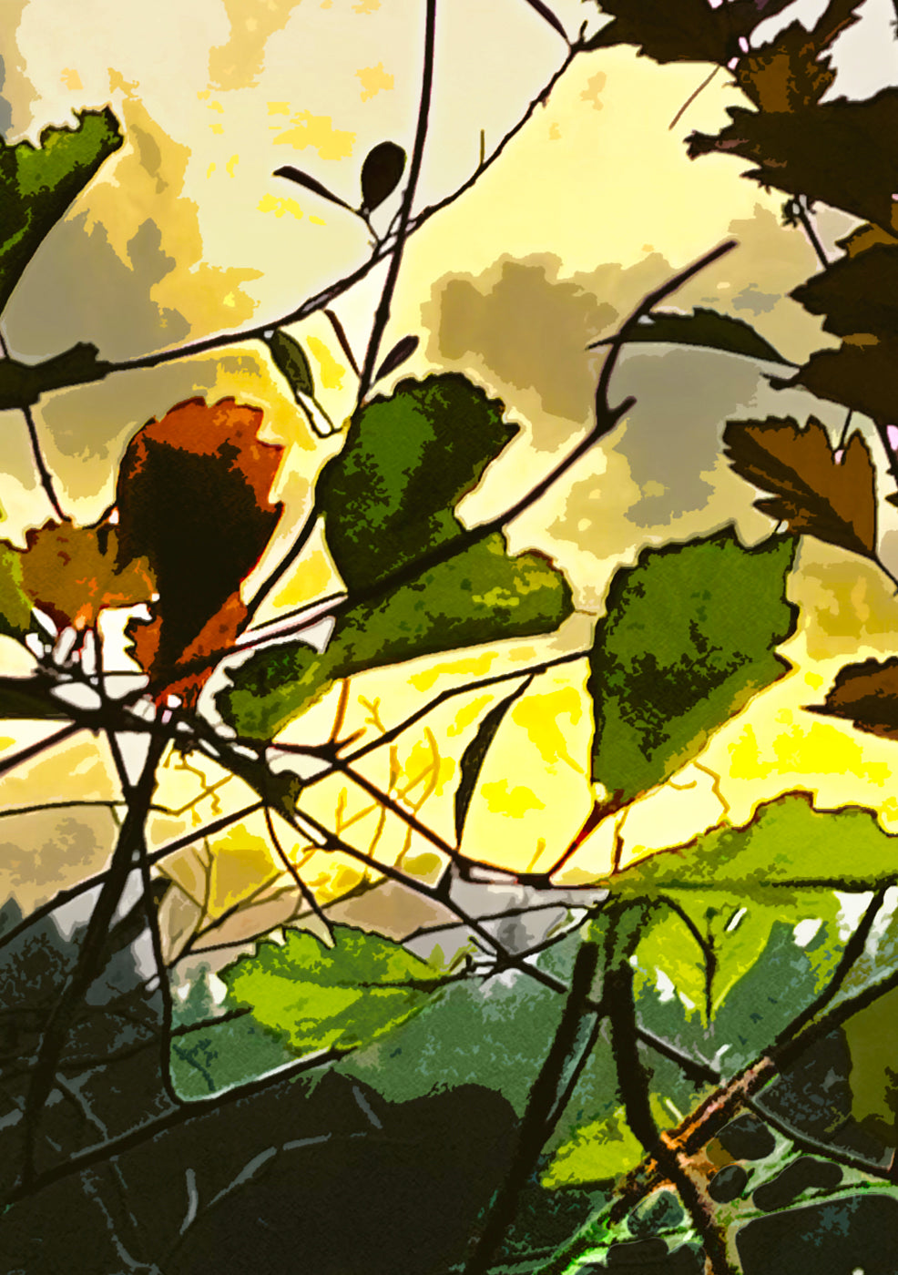 'Lake Foliage' Print - by Taylor Clinton