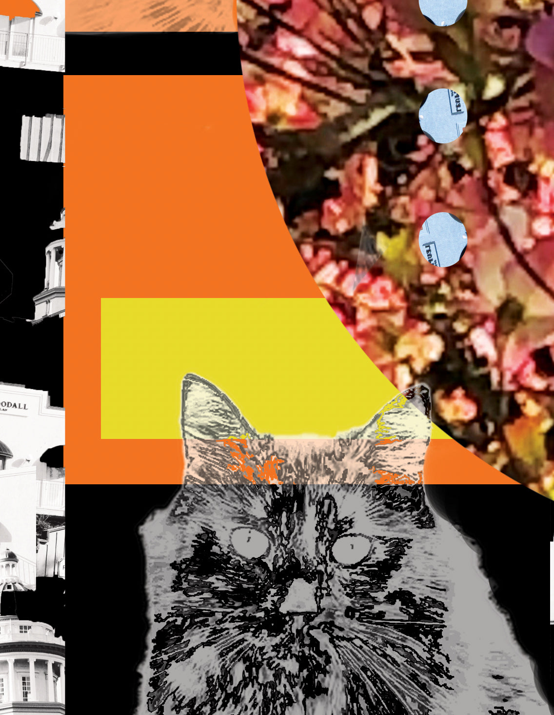 'Pop Star Kitty' Print - by Taylor Clinton