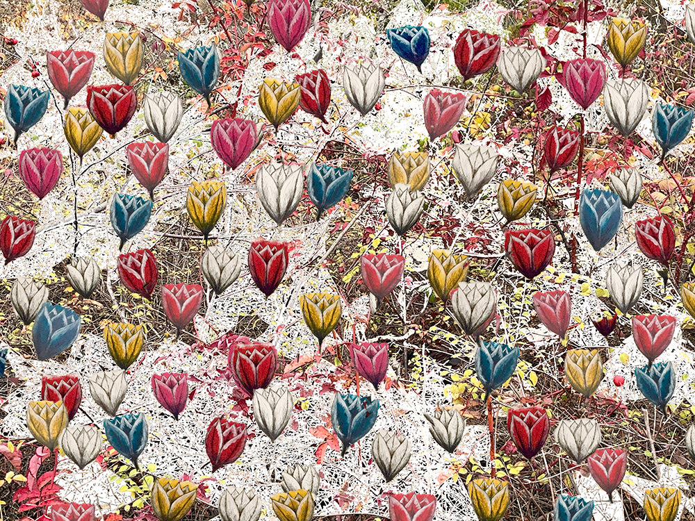 'The Monarchs' Print - by Taylor Clinton