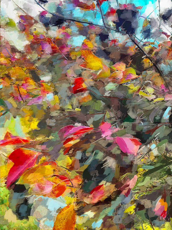 'Awesome Autumn' Print - by Taylor Clinton