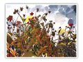 'Beautiful Blight' Print - by Taylor Clinton