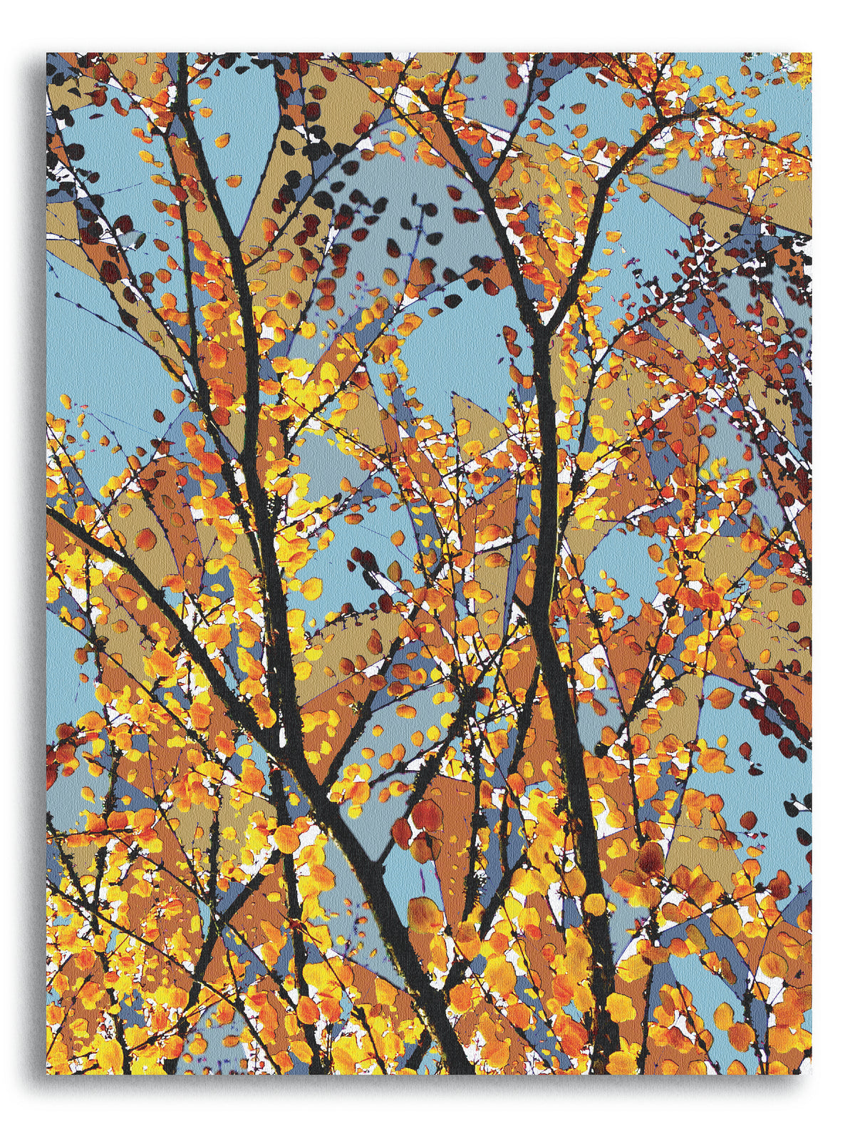 'Beech Glass' Print - by Taylor Clinton