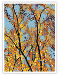 'Beech Glass' Print - by Taylor Clinton