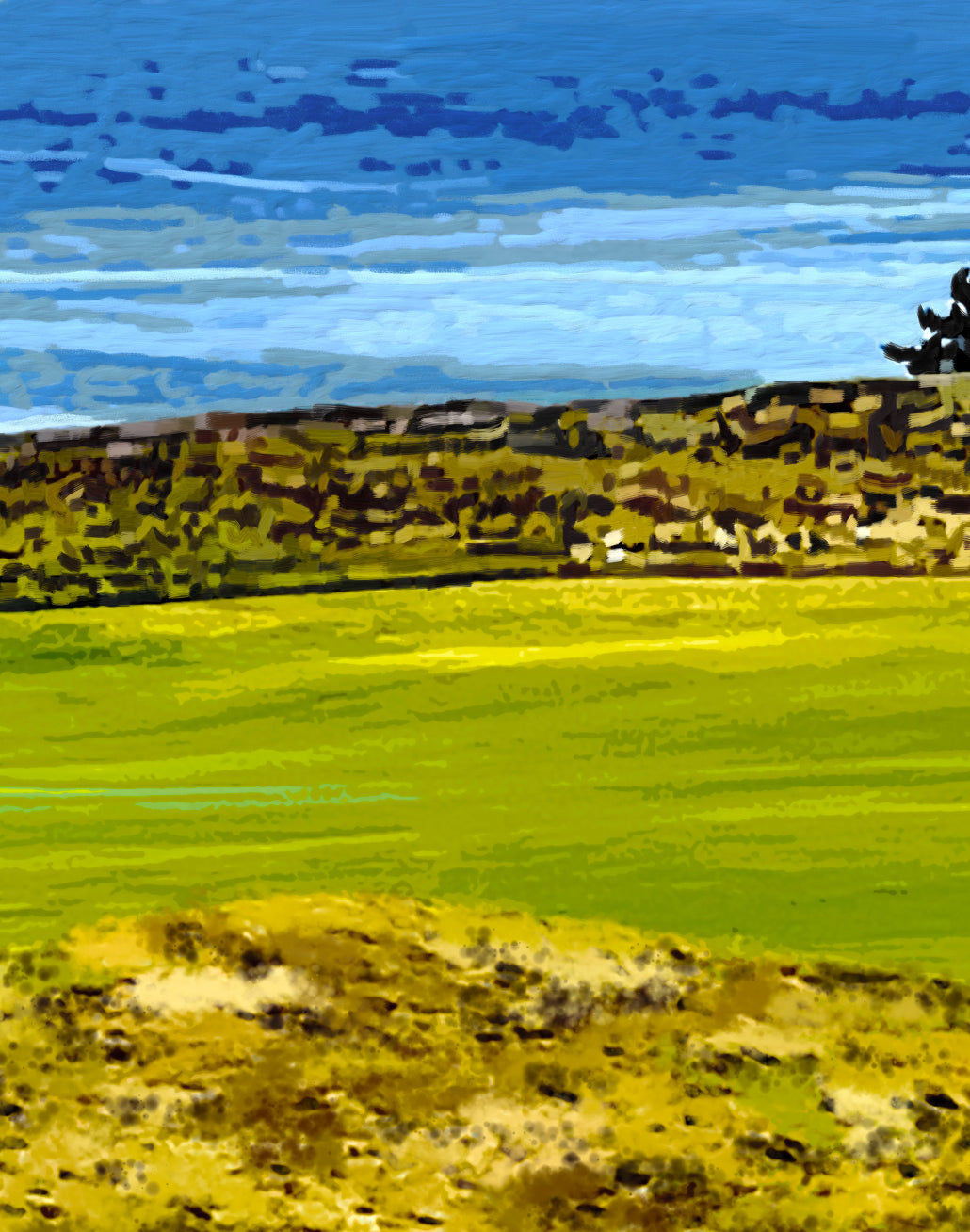 'Chambers Bay Panoramic' Print - by Taylor Clinton