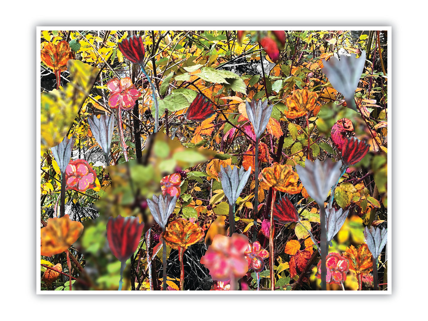 'Depths of Color' Print - by Taylor Clinton