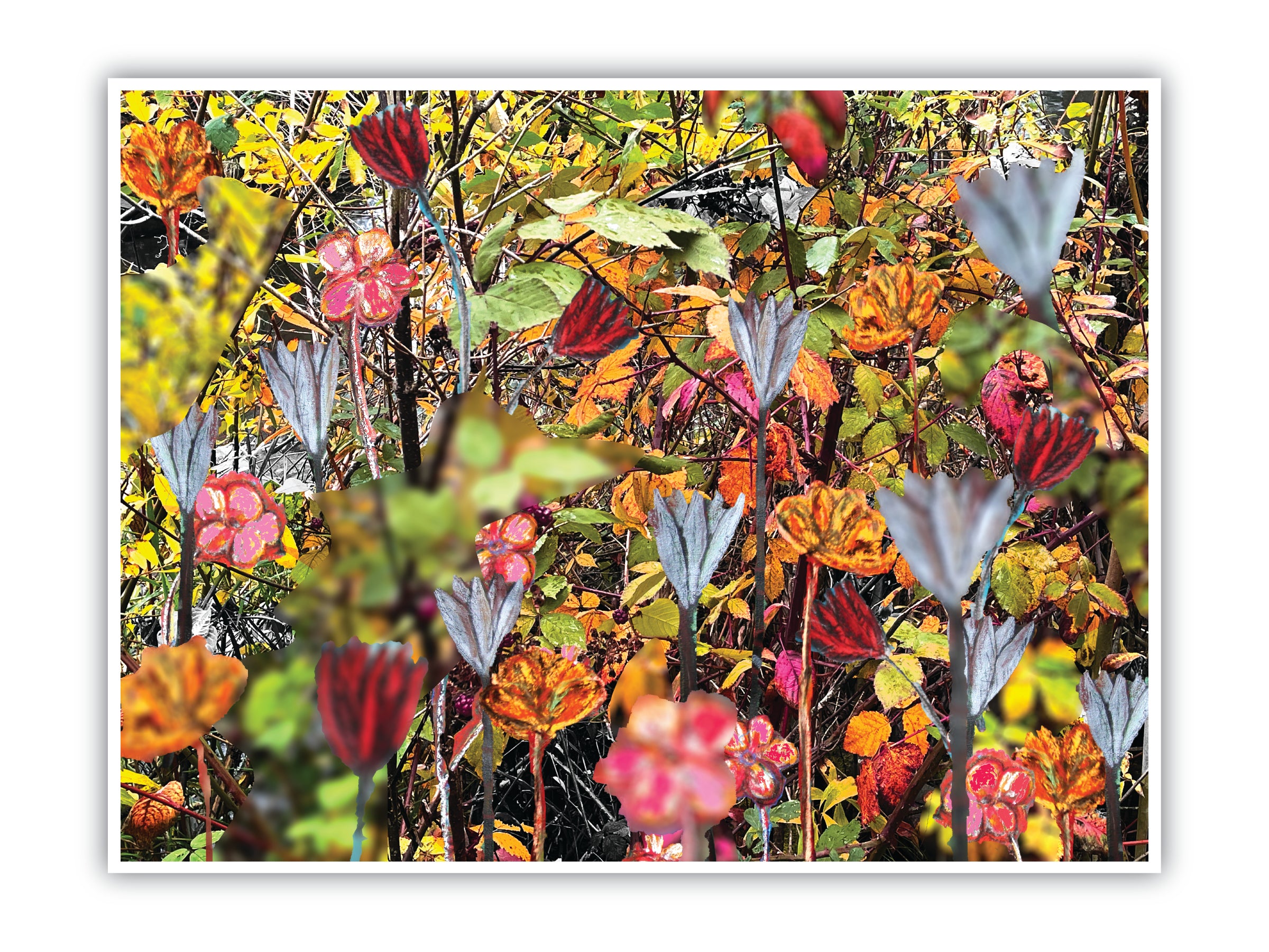 'Depths of Color' Print - by Taylor Clinton