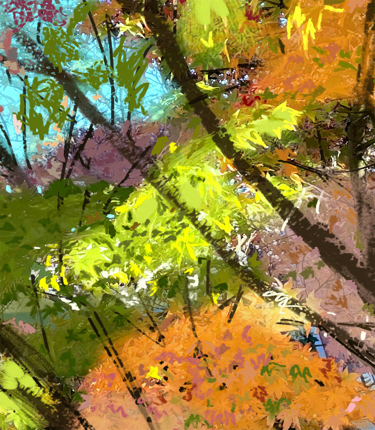 'Fall Spectrum' Print - by Taylor Clinton