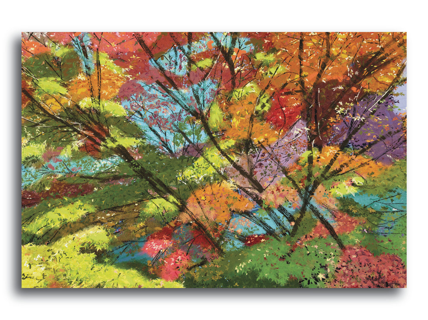 'Fall Spectrum' Print - by Taylor Clinton