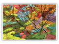 'Fall Spectrum' Print - by Taylor Clinton