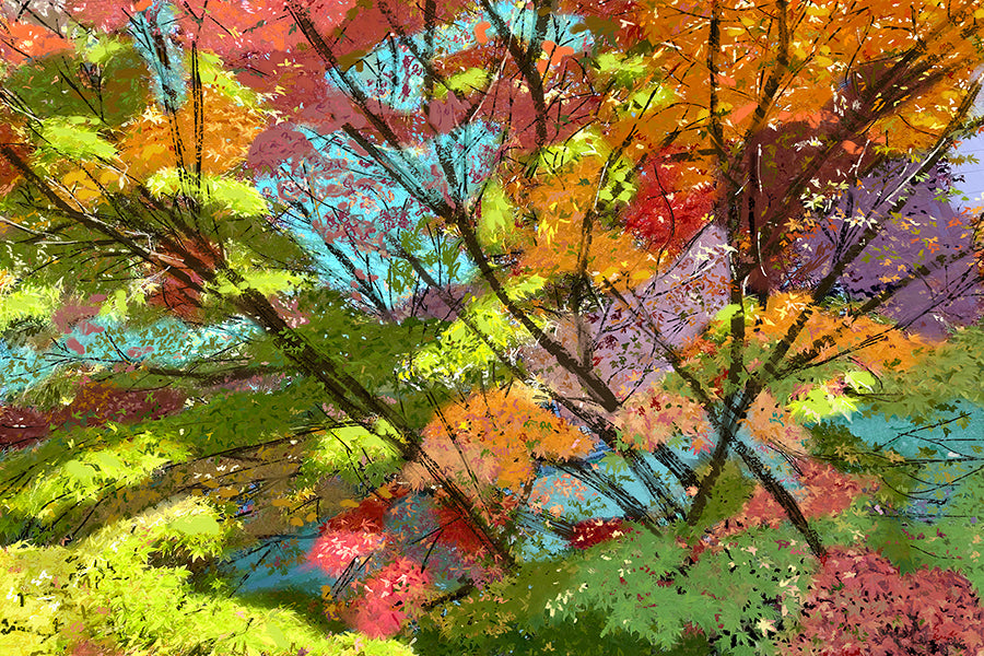 'Fall Spectrum' Print - by Taylor Clinton