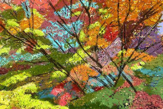 'Fall Spectrum' Print - by Taylor Clinton