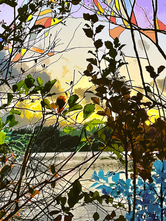 'Lake Foliage' Print - by Taylor Clinton