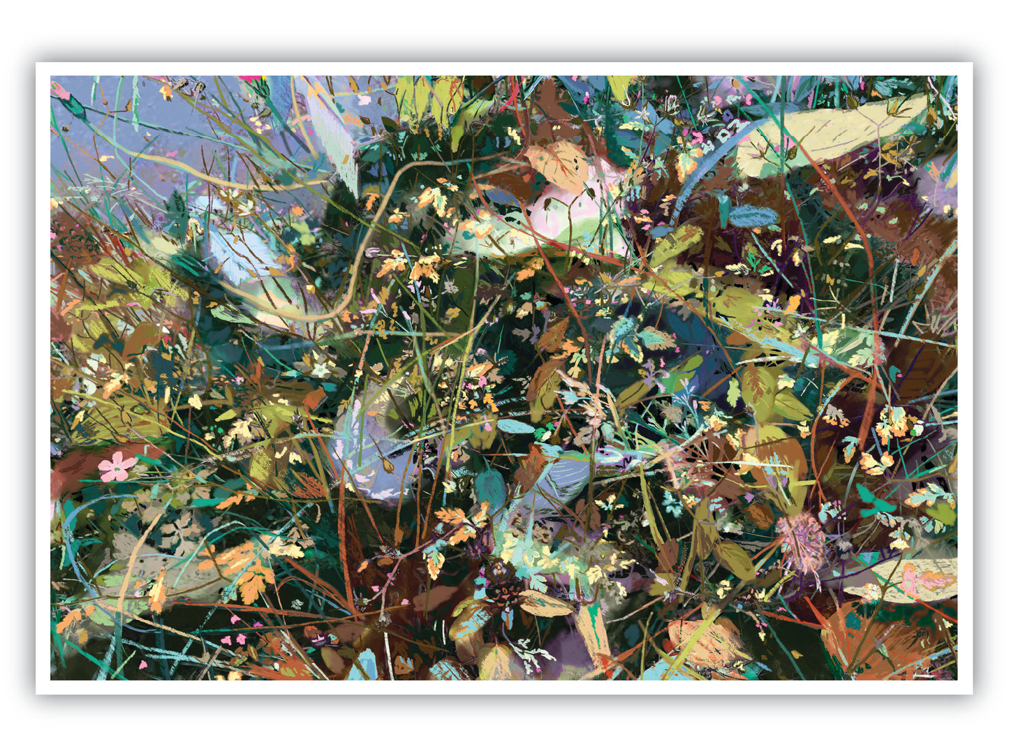 'New Wildflowerz' Print - by Taylor Clinton