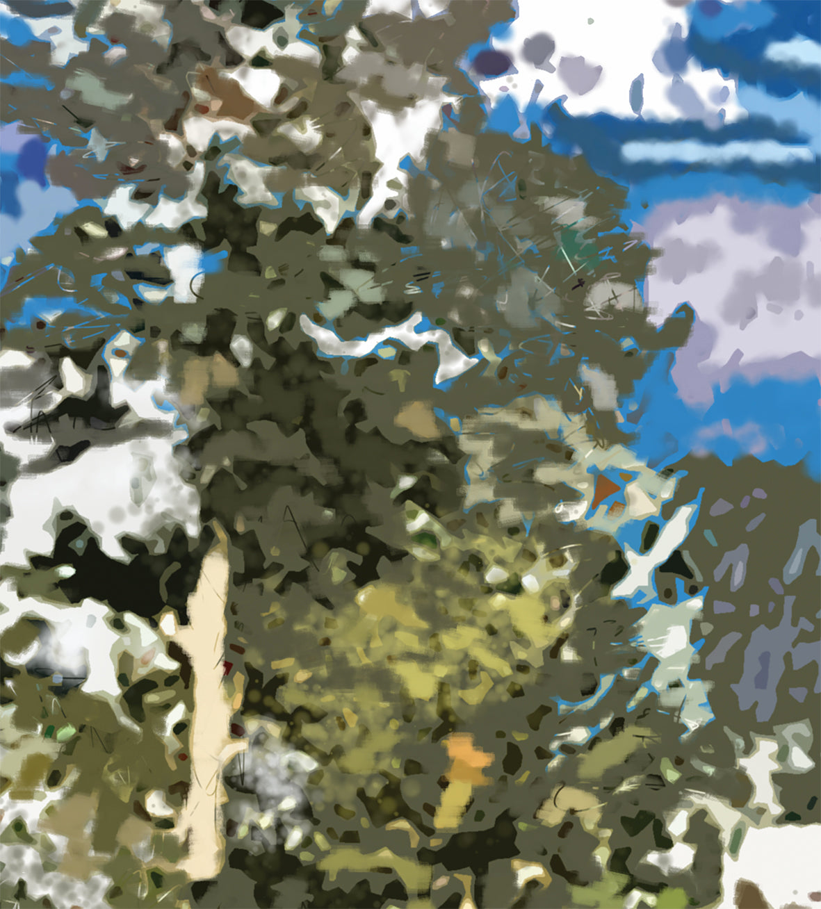 'Tahoe Tree Tops', Print - by Taylor Clinton