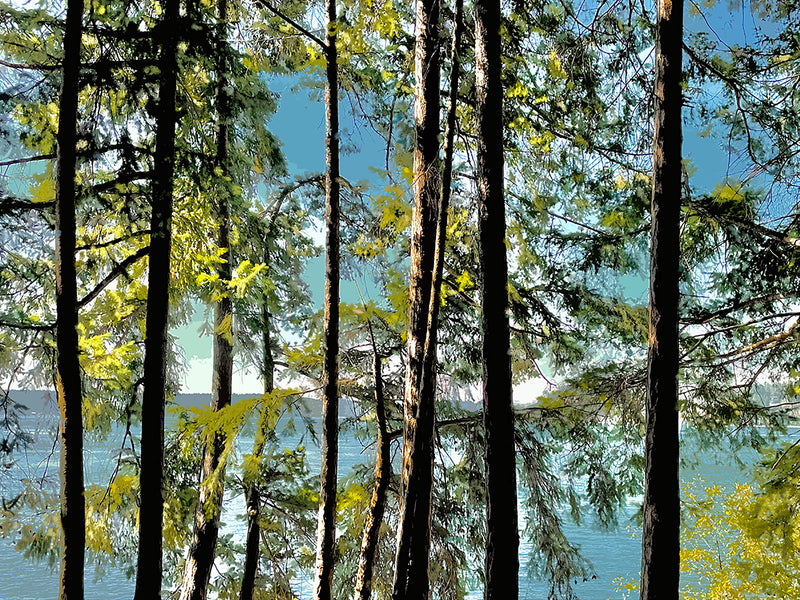 'Titlow Trees' Print - by Taylor Clinton