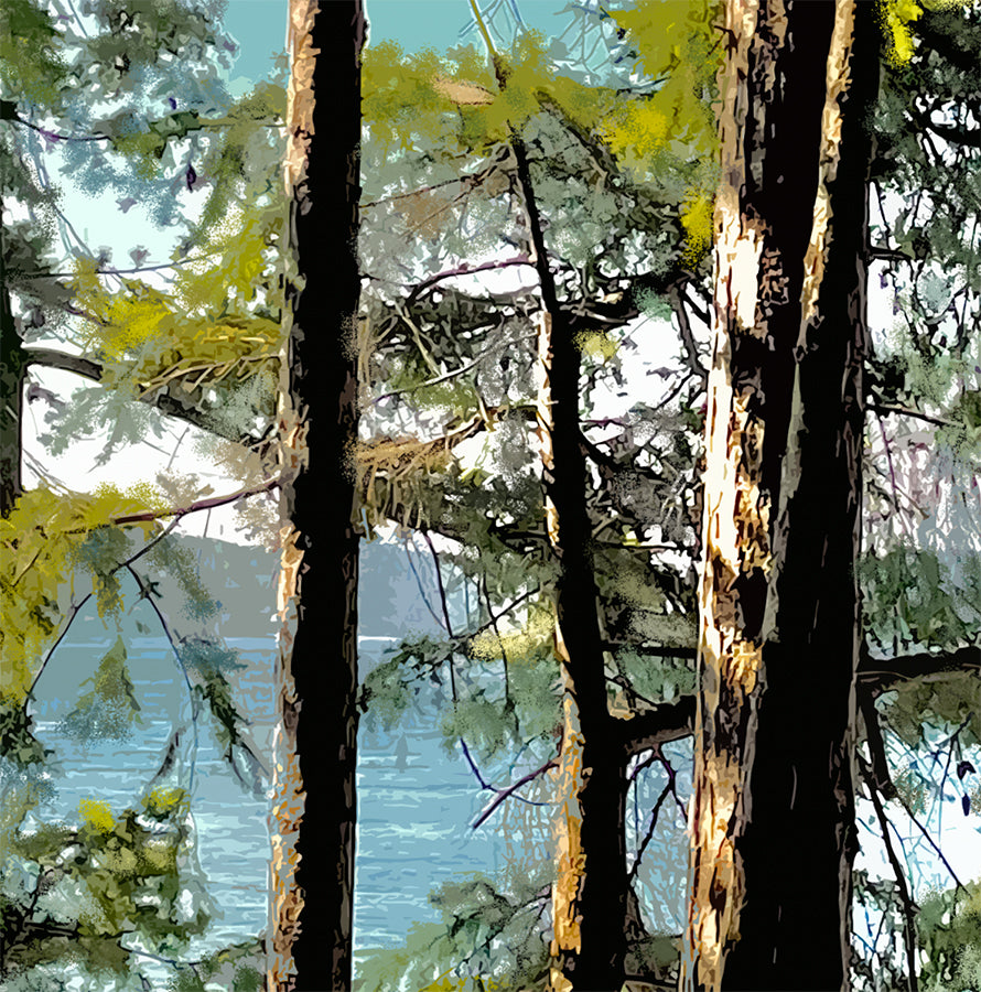 'Titlow Trees' Print - by Taylor Clinton