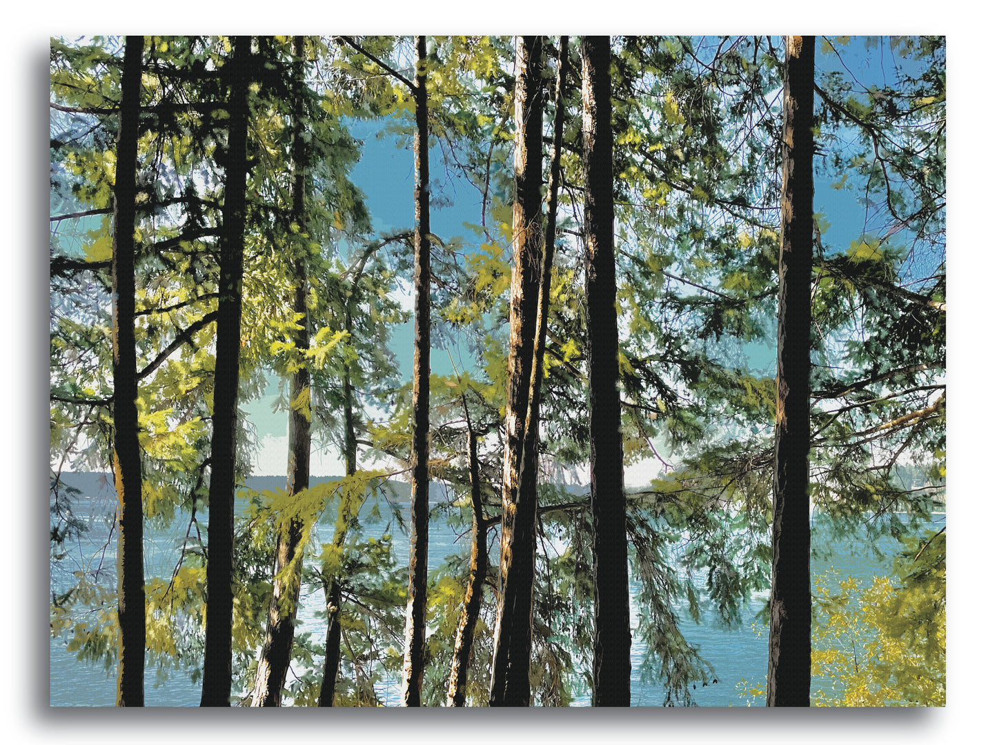 'Titlow Trees' Print - by Taylor Clinton