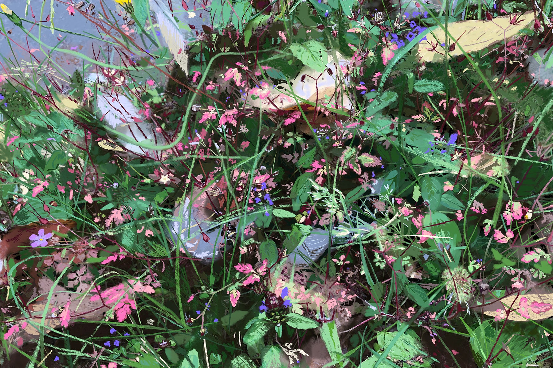 'Wild Flowers' Print - by Taylor Clinton