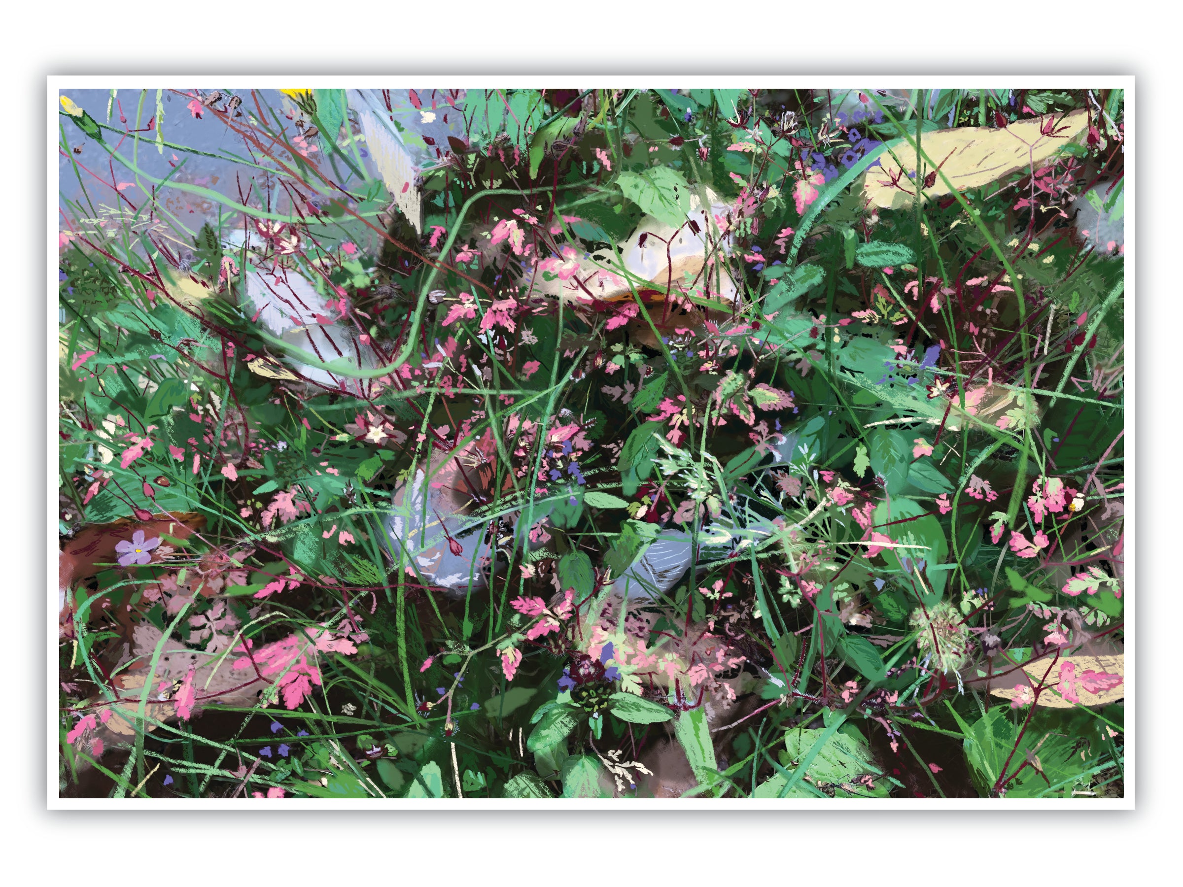 'Wild Flowers' Print - by Taylor Clinton