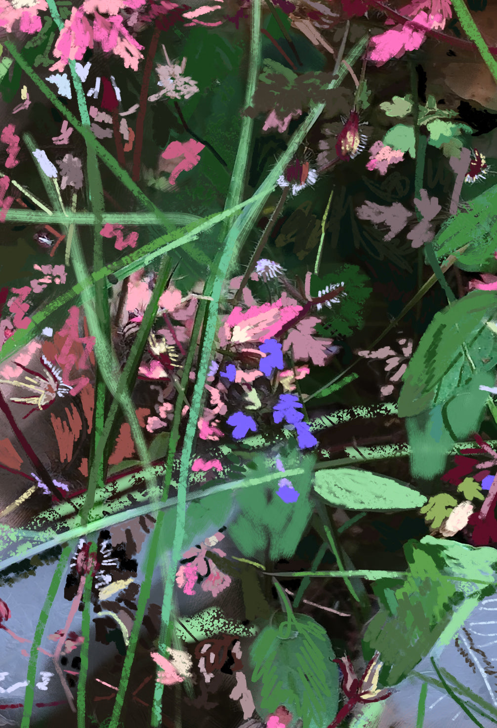 'Wild Flowers' Print - by Taylor Clinton