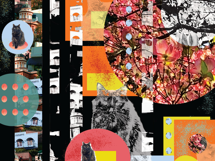 'Pop Star Kitty' Print - by Taylor Clinton